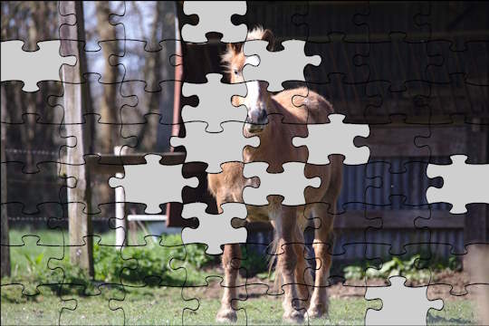 horse jigsaw puzzle with a few pieces missing showing that you can still see evidence for evolution even though there are gaps in fossil record