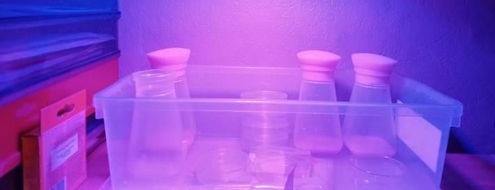fruitlfy vials in a lab